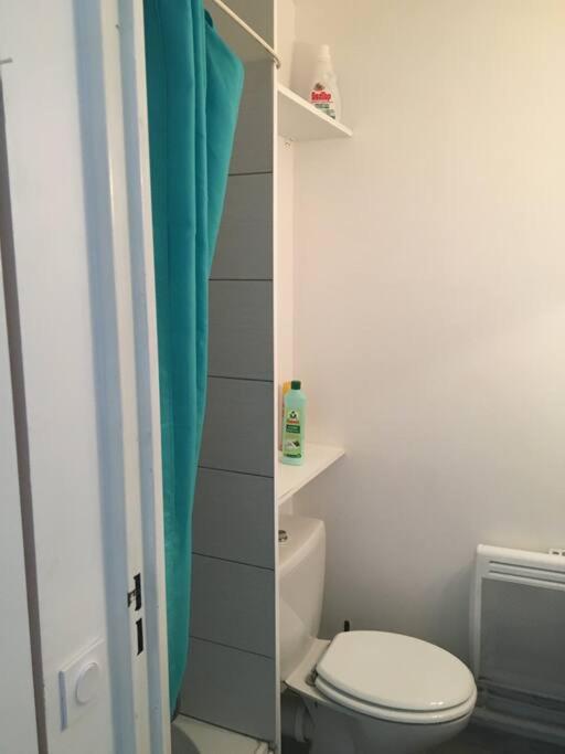 Tres Beau Studio Au Grau Du Roi Tout Equipe 33M2 Le Grau-du-Roi Luaran gambar